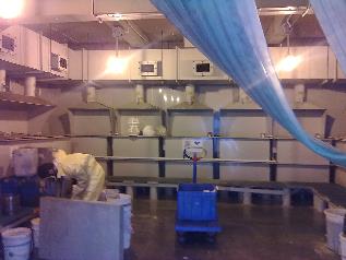 將開啟一新視窗_開啟圖片檔(jpg)_華科電子科技公司-東莞廠