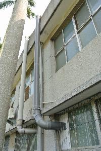 將開啟一新視窗_開啟圖片檔(jpg)_嘉義農業試驗分所