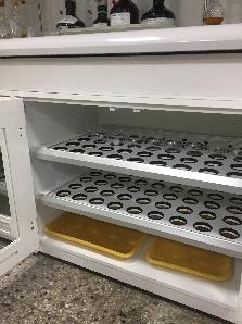 將開啟一新視窗_開啟圖片檔(jpg)_